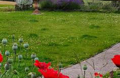 The Rock self-catering holiday cottage and garden lodges - Foto 48
