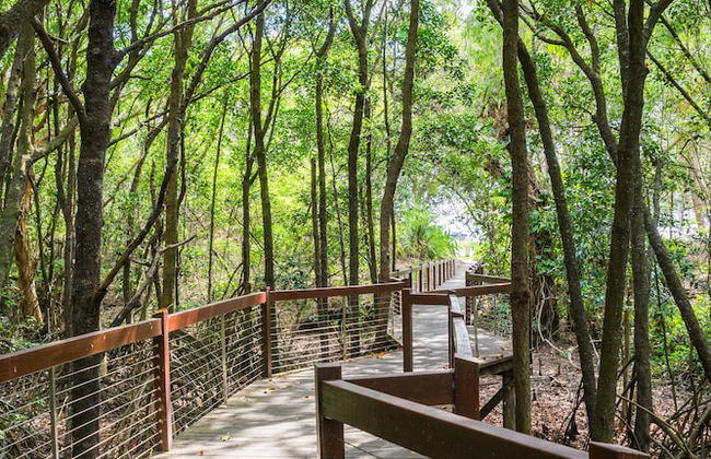 The Sebel Palm Cove - Foto 27