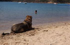 Vale de Garcia AL 5357 - Foto 56