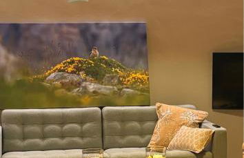 Armaño 12 - Foto 14