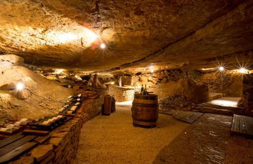 La Terre d'Or - Foto 68