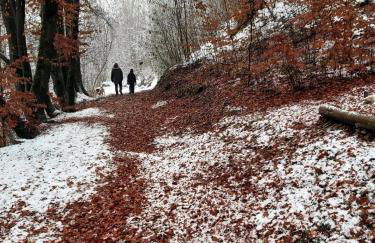 LA CASA DI SURI - Photo 18