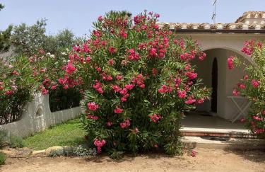 Villetta indipendente Simius - Foto 12