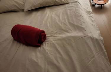 Duplex les Myrtilles LES CARROZ centre station - Photo 35