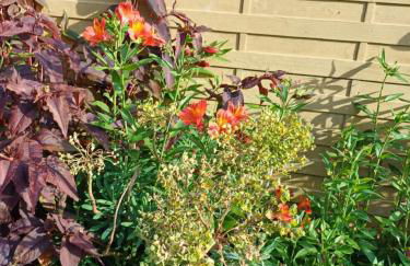 Maison tout confort au calme à 300m de la mer et du GR34 avec jardin - Foto 8