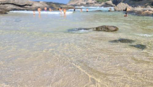 Casa De Itacoa - Photo 5