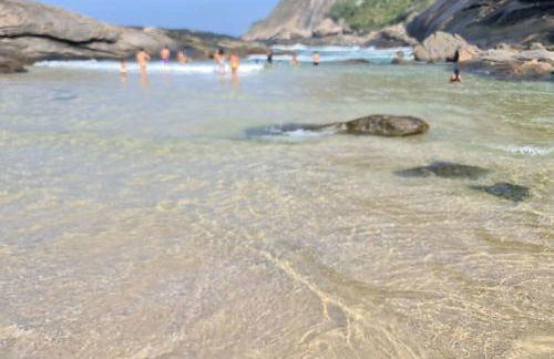 Casa De Itacoa - Foto 5