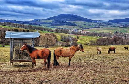 Habelberg Apartments - Foto 19
