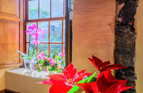 Casa Justa - Photo 50