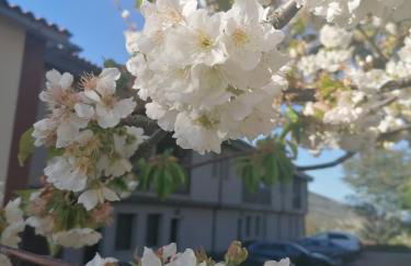 Complejo Rural Las Palomas - Foto 72