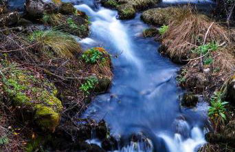 Casa Rural Los Cipreses - Photo 48