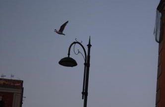 A casa nostra - Foto 37