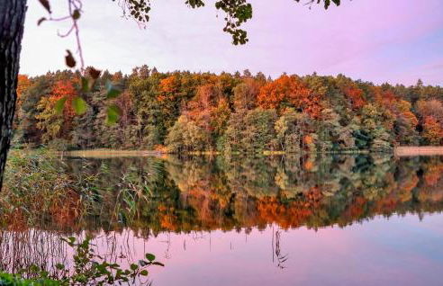 Ferienhaus Boitzenburger Land - Foto 26