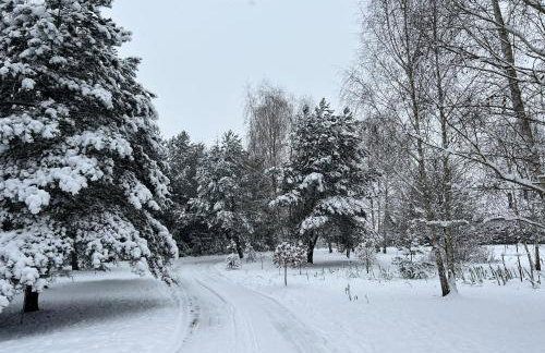 Ackermannia - Foto 28