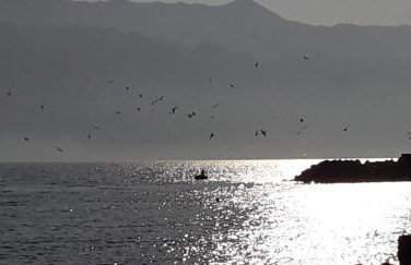 APARTMAN MARTINA - Foto 13