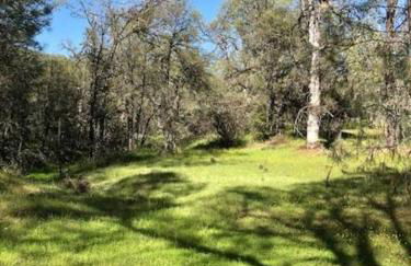 Bear Paw Cabin new construction near Yosemite - Foto 30