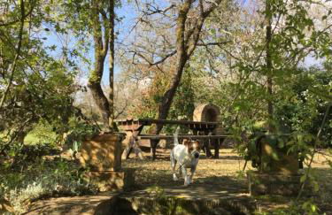 La Berchiera - Foto 40