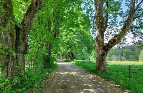 Holiday home Corinna - Foto 36