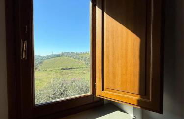 Melarancio Home - Foto 33