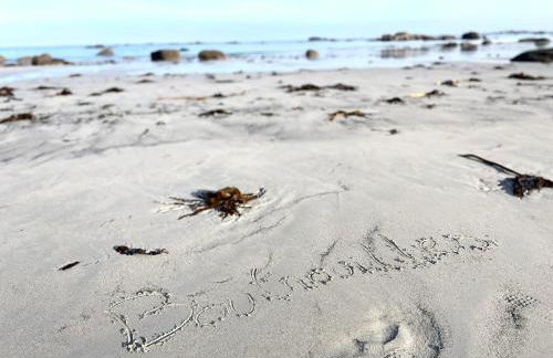 Maison Maillots et Bigorneaux, 15 pers, jacuzzi, 40m de la mer - Foto 63