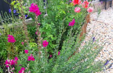 Villa Marianna Garda Lake - Photo 35