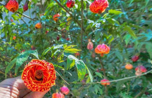 Stylish 3BR Retreat Close to Coast & Wineries - Foto 50