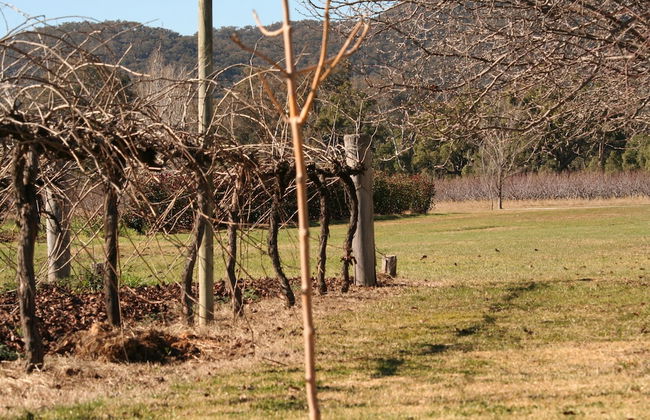The Farmhouse at Blue Wren Wines - Photo 22