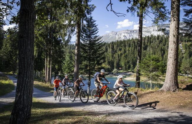 Comfort Alpine - Foto 36