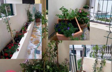 Apartments Punta Milna - Photo 21