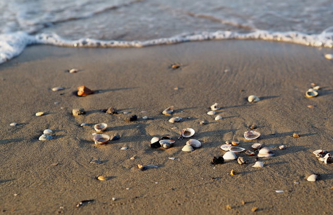 Lovely Flat at Grado Pineta - Foto 16