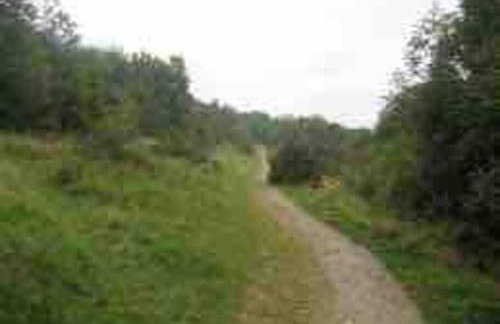 The Loft at the Croft - Stunning rural retreat perfect for couples & dogs - Foto 35