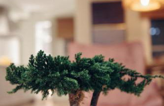 Apartamentos Bahia San Lorenzo - Foto 17