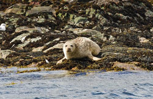 7 Bed in Campbeltown 83009 - Foto 31