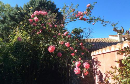 La Provence authentique à 30 minutes des plages - Foto 4