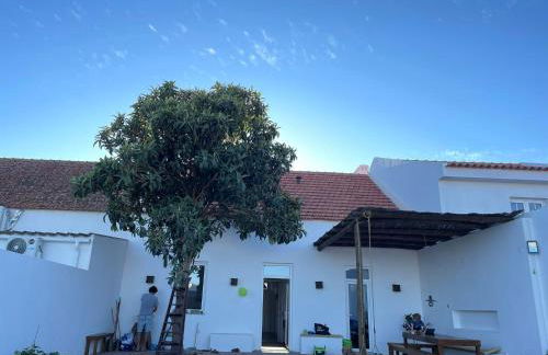 Casa Magana em Grândola - Foto 9