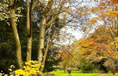 Alexander House - Foto 54