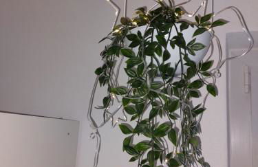 Fewo Erdgeschoss Ankerplatz mit Sauna direkt am Brombachsee bei Juliane und Klaus - Foto 10