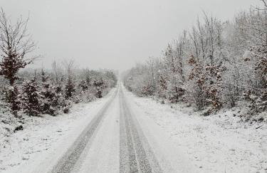 Leśne Zacisze Radawa II - Foto 40