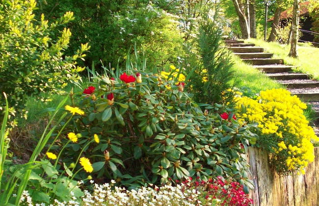 Cozy Chalet in Francorchamps - Photo 30