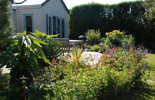 St Edwards Cottage, Tintagel - Foto 7