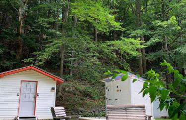 Alpine Four Season Lodge Shandaken NY sleeps 18 - Foto 11