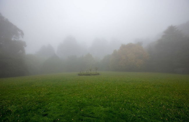 Classic 5 Beds Mt Dandenong Resort - Foto 24