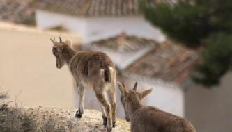 La casita del Cerro - Foto 4