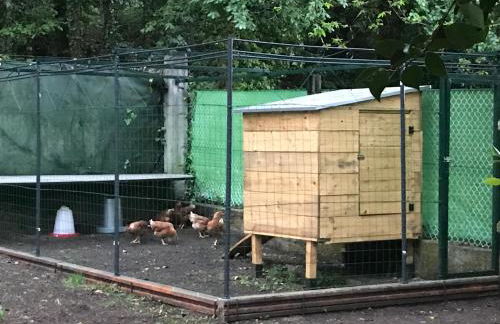 Cabana Monte do Castro - Foto 29