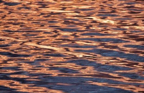 Fewo Zwergseeschwalbe - Ostsee at its best! - Foto 22