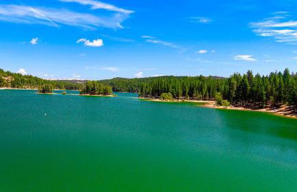 Home in the Pines - Apple Hill - Dog Friendly - Snow Nearby - Foto 43