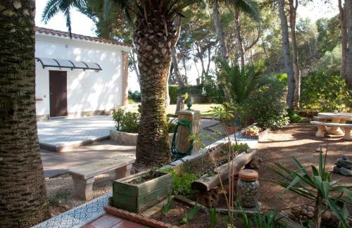 Sargantana Blava - Foto 56