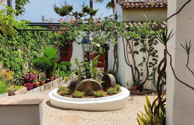 Quinta dos Amigos - Foto 45