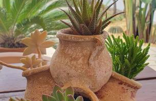 Casa el Montcel, a unique chalet with roofterrace and shared pool - Foto 42