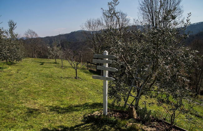 Agriturismo Angiò nel Ceré - Foto 41